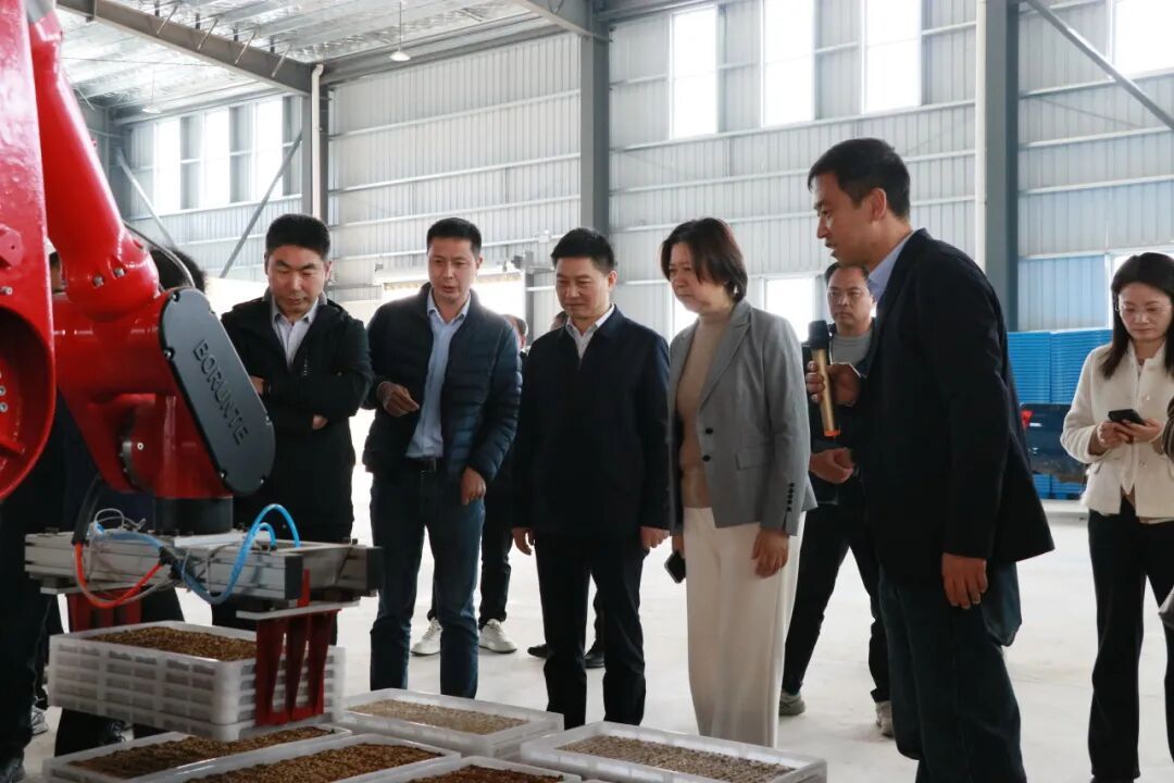 &ldquo;同心薈&rdquo;鄉村振興專家服務站把脈金山水稻育秧 | 統一戰線助力區域高質量發展
